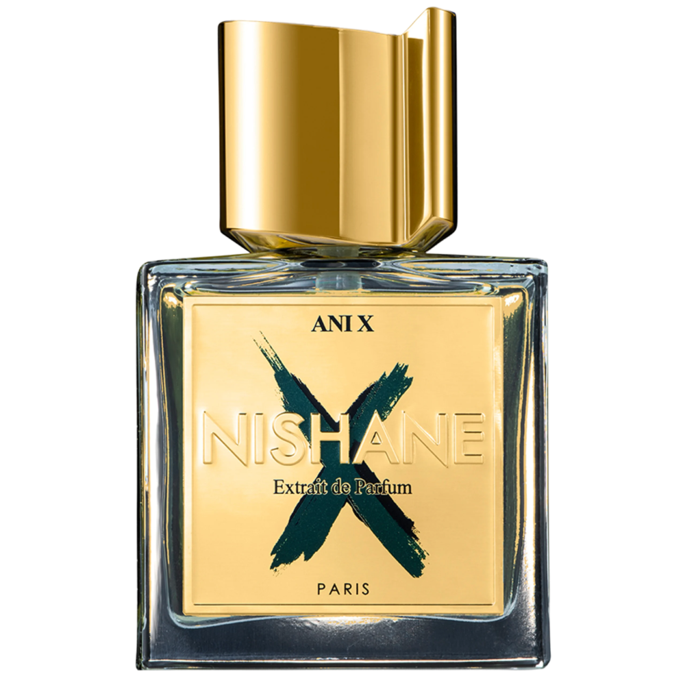 Ani X