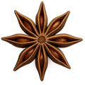 Anise