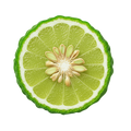 Bergamot