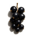 Black_Currant