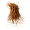 Bourbon_Vetiver