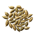 Cardamom