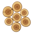 Cedar