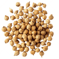 Coriander