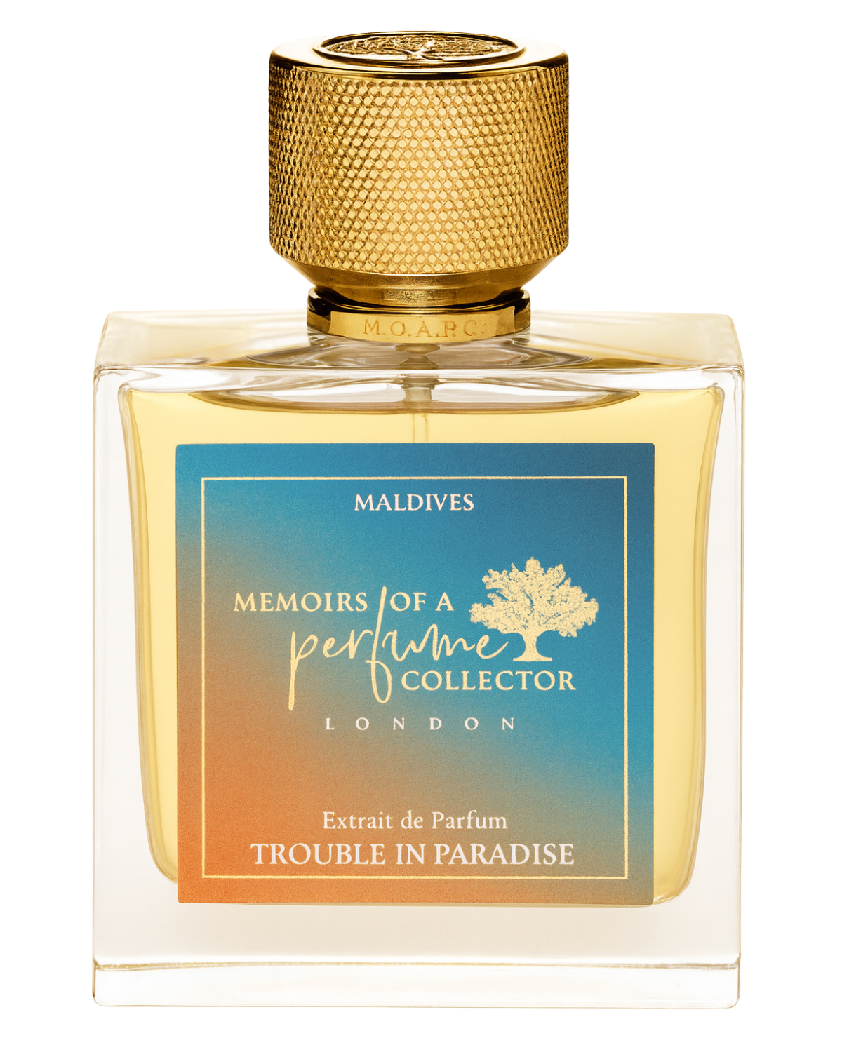 Trouble in Paradise