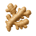 Ginger