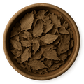 Javanese_Patchouli
