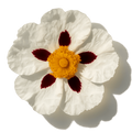Labdanum