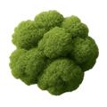 Moss