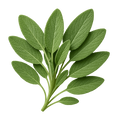sage