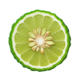 bergamot